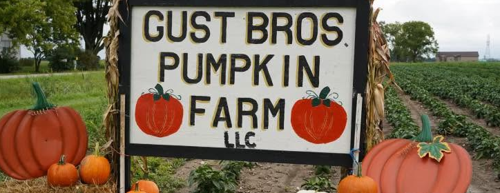 Fall Fun on the Farm with DYS